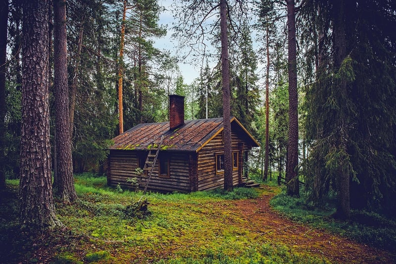 Cozy Cabin in the Woods